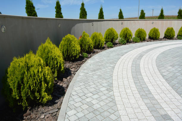 Best Brick Driveway Pavers  in Tappahannock, VA